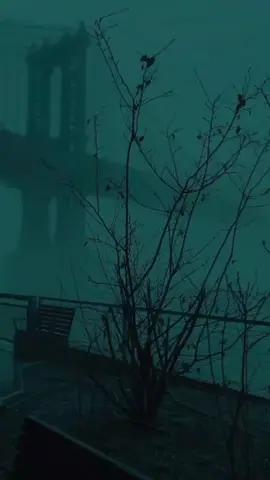 carab io labadiisa daan waysku cilane😔🤘#nemcoss 