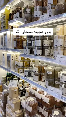 نكهة ما تنسى وأصالة من قلب الطبيعة! ✨ بذور الأكبي بذور طبيعية غنية بمضادات الأكسدة والألياف، تساعد في دعم المناعة وتحسين الهضم 🟤 تُضاف للعصائر، الزبادي، السموذي، أو حتى كوجبة خفيفة صحية مناسبة لنمط الحياة الصحي، النباتيين، واللي يحرصون على الأكل النظيف والطبيعي 🚚 التوصيل متاح لجميع مدن المملكة 📍 الرياض – حي إشبيليا 📲 واتساب مباشر: 0556101414 🛒 المتجر الإلكتروني: dates-nagdia.com #تمور_نجدية #شعبيات_نجدية #الكرم #غلة #اكبي #بذور_الاكبي #نمط_صحي #اكل_نظيف #سوبر_فود #منتجات_سعودية #تسوق_اونلاين #ضيافة #فطور_صحي #healthyfood #superfood #dates #foryou #fyp #explore #saudi_products #dailyfood #وجبات_صحية #snack_ideas