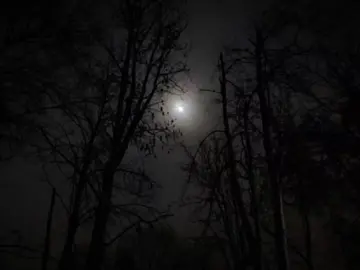 #антидепрессант #фейс #face #2017 #2k17 #2к17 #вайб #ностальгия #vibes #antidepressant #музыка #щп #щитпостинг #щитпост #песня #текстпесни #лирика #on 