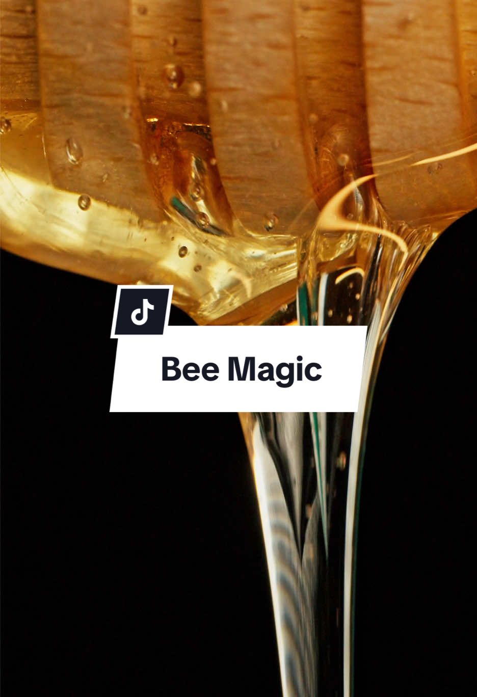 How many different types of honey have you tried? 💛  #Fulmer #FulmerHoney #Honey #FoodPhotography #Foodie #LuxuryFood #GourmetLife #AestheticFood #RawHoney #PureHoney #GoldenHoney #ViralReels #LiquidGold #FineDining #TasteTheLuxury 