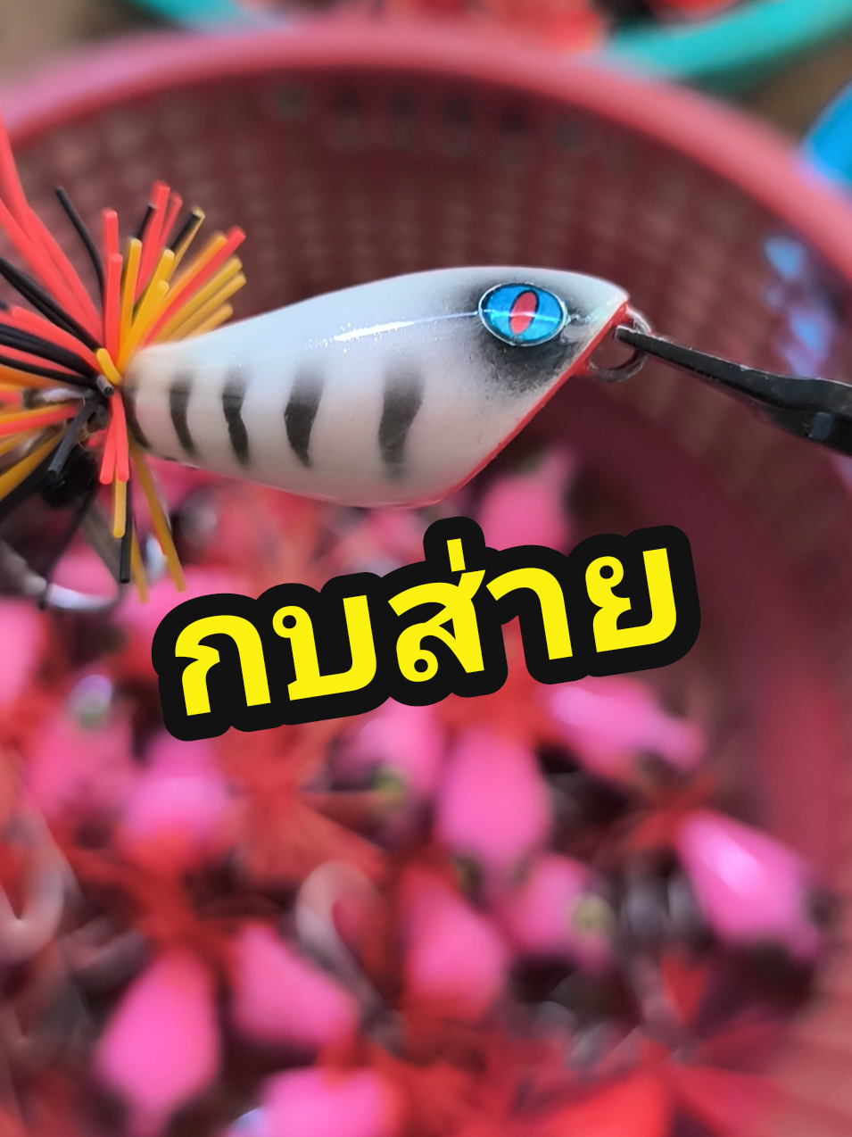 #เหยื่อปลอมตกปลา #กบกระโดด #กบส่าย 
