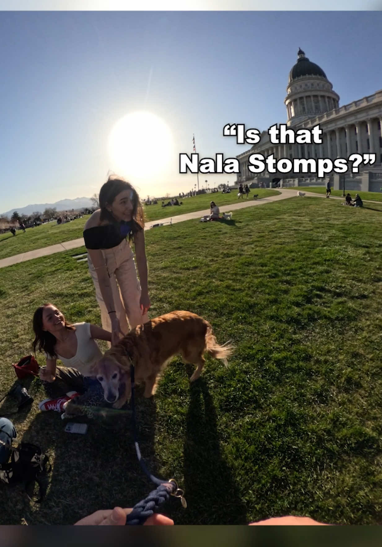 Nala and her stomps bringing pure joy to the people. I smiled the entire time we were out and the entire time I was editing this video. I can’t quite put into words how happy these reactions make me and how much I appreciate the love you give me and this crazy little stomper. 🫶