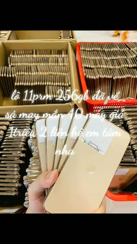 11prm256gb #iphone 