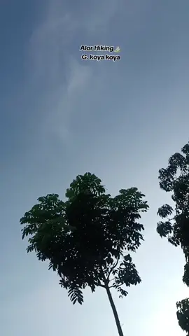 hiking. g. koyakoya. boleh tingglkan kenangan. asalkan jgn sampah. #explore #padahariini #nttpride🏝🔥 #alorpride🏝🔥 #pendakian #fyp 