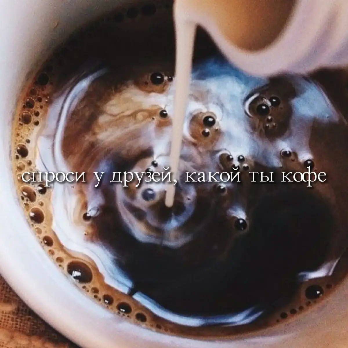 Кофе — это напиток, который получают из жареных и перемолотых зёрен кофейного дерева или кофейного куста. Кофейное дерево — вечнозелёное растение, которое выглядит как кустарник или небольшое дерево, может достигать высоты до 10 метров. Листья дерева зелёные и блестящие, а цветы белые и ароматные. Плоды красного или бордового цвета имеют от одного до трёх семян (зёрен). 