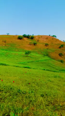 خلم # تاشقرغان # افغانستان