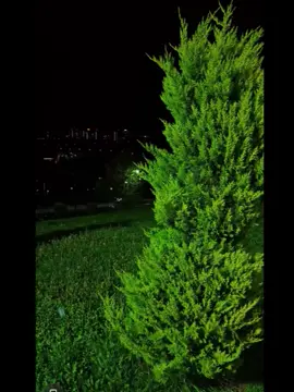 عندما تخسر شيء لا تحزن فأين الحيات تجارب ....!!...❤️😔