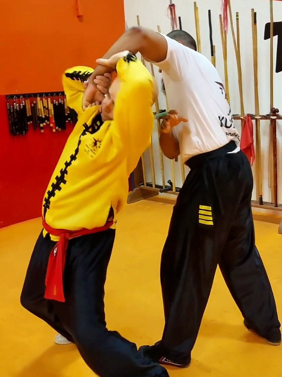 #tskf #kungfu #wushu #artemarcial #artesmarciais #defesapessoal #shaolin #chikung