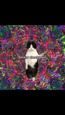 #blinker #yart #checkpoint #visual #trip #foryoupage 