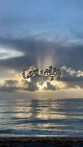 قرآن 🤍 كريم