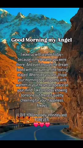 #creatorsearchinsights 