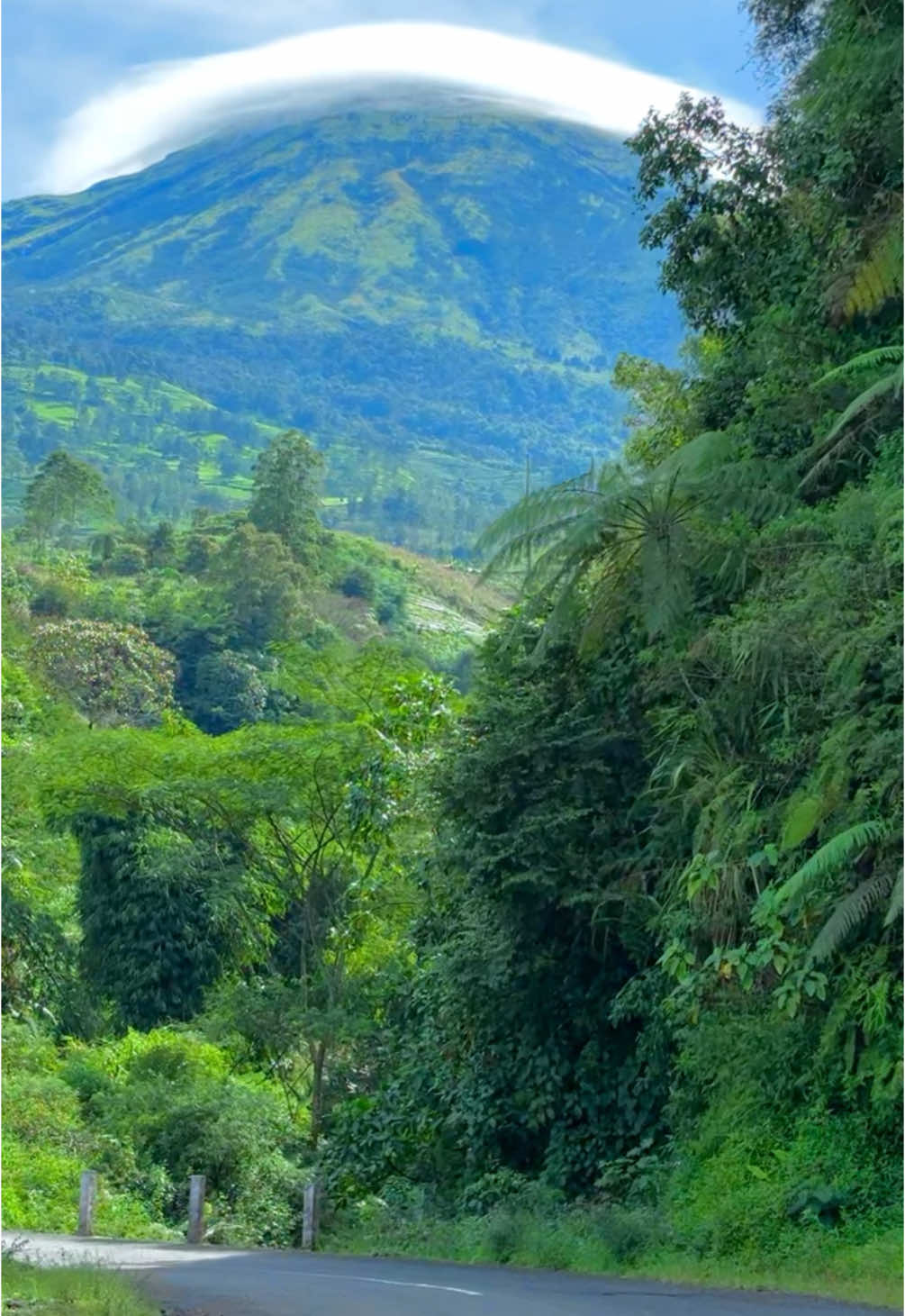 Scandu ini jalan alternatif di wonosobo 🤩 #fyf #foryou #fyp #sw #swmu #wonosobo #pemandanganindah #jawatengah 