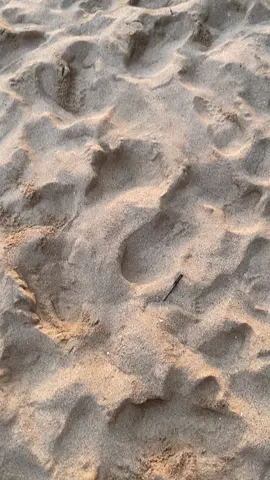 watu leter dengan sunset nyaa.  #pantaiwatuleter #fypage #malangselatan 