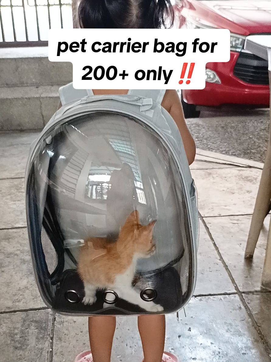 deserve din to ng mga furr babies niyo 🥰 #catcarrier #catbag #catsoftiktok #bag #bestbuy #fyp #affordable 