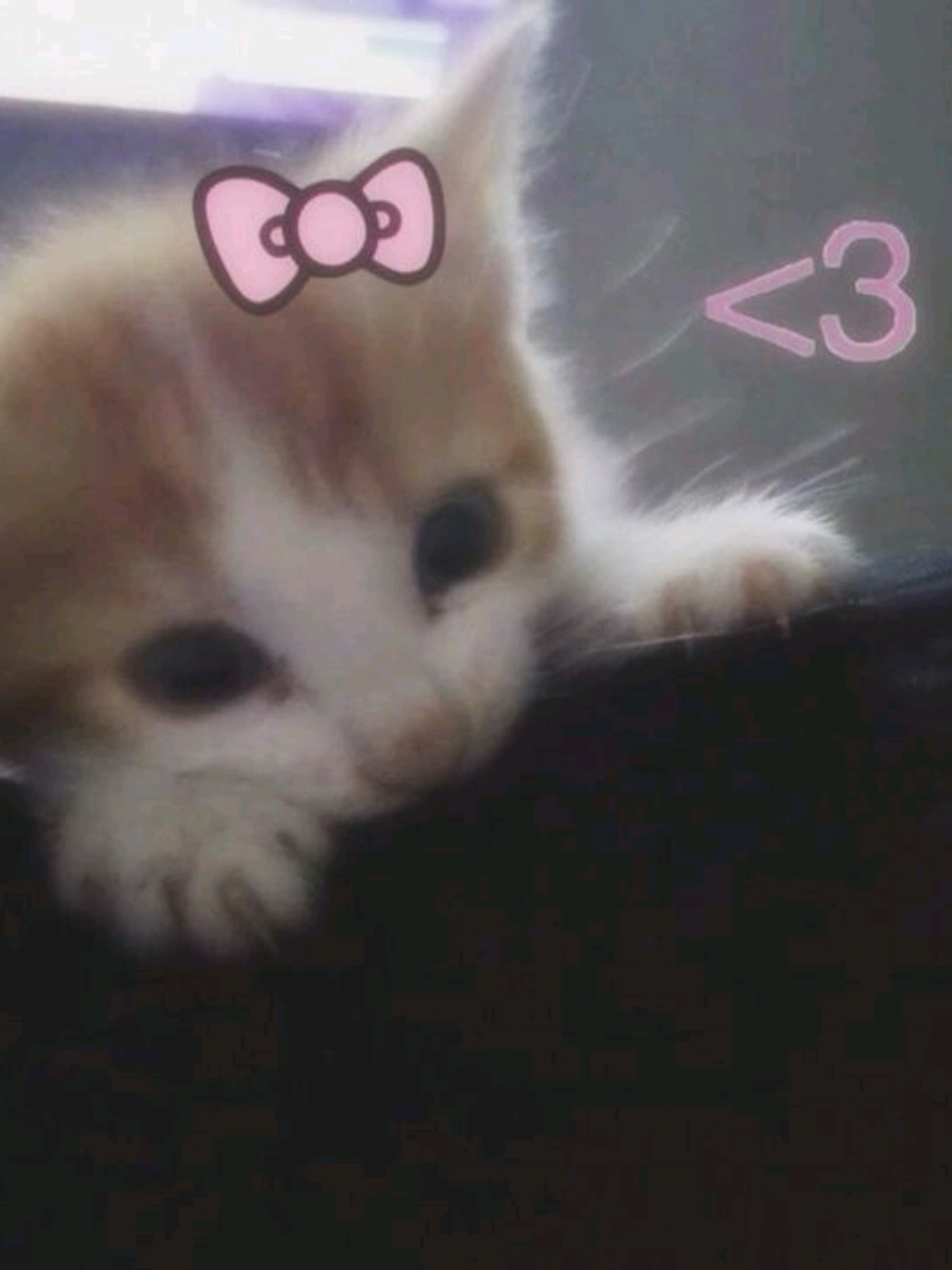 #supermercado #novios  #humortiktok #fypシ゚ #trend #amoaminovio @miguel.bro 