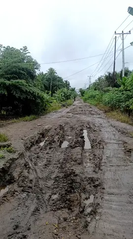 ubur ubur ikan lele.. jalan nya kayak bubur leee... nikmati saja selagi masih bisa di lewati.. #jalanprovinsi  #karyatunasjaya #tempuling #indragirihilir #inhil #jalanlumpur 