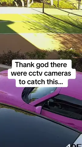 Embarrassing moment for Lola bunny 