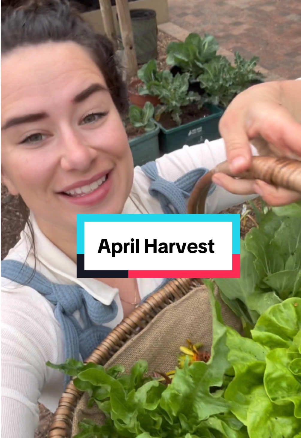 Need to think of ways to use up loads of spring onions 😂  Not a bad harvest for mid april 😀😀  #mealprep #growyourown #gardentok #vegetablegarden 