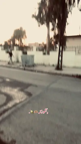 #زيودي #الشوره_الصفران_ديرتي #كياره_الحود_السرت_لزاكه_تلول_ناصر #الخليج_العربي_اردن_عمان_مصر_تونس_المغر #تصويري_احترافي_الاجواء👌🏻🕊😴 #دزوها😂🔪 #الشويرات_عاصمه_الساده_جنوب_الموصل #حمام_العليل #الجبور_وعز_الجبور #📸 #الجبوريه_وماخذه_من_الجبل_حرفين #تصويري #الشعب_الصيني_ماله_حل😂😂 #القيارة_جنوب_موصل #العراق_السعوديه_الاردن_الخليج #القياره_جنوب_الموصل_الجبور_قبيلة_اجبور 