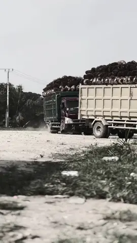Prahu kertas