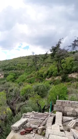 قرية #عين_عيسى #İsa_Pınar  #جبل_التركمان ريف #اللاذقية الشمالي 