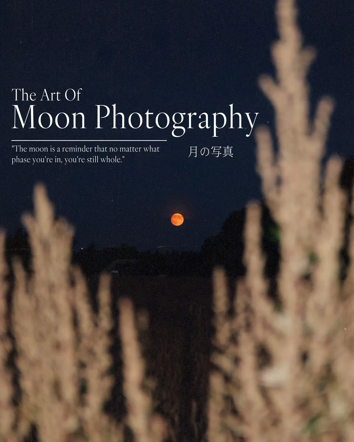 A quiet moments with moon. #photography #moon #nightphotography #filmphotography #fyp 