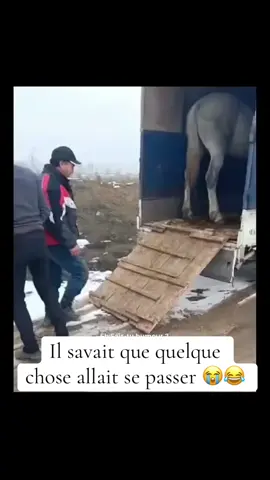 #humour #comedyvideo #drole #fyp #senegalaise_tik_tok #comedia 