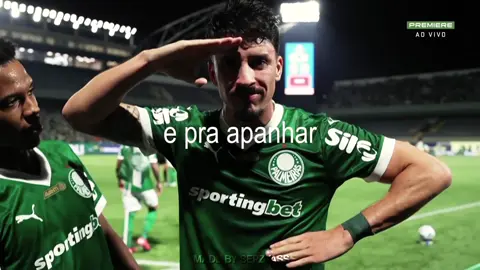 #palmeiras  #vaiprofycaramba #viral #piquerez 
