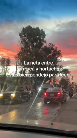 A veda 😹 #views #paratiiiiiiiiiiiiiiiiiiiiiiiiiiiiiii #fyp 