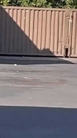 I tried helping a homeless woman in distress, what would you have done.