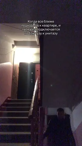 #жиза 