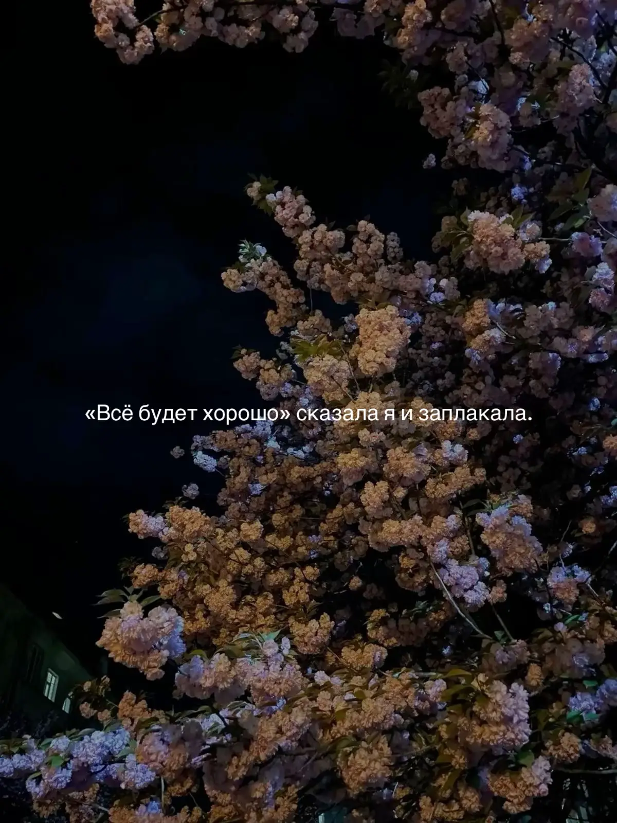 #fyp #recommendations #fouryou #рекомендации #fypシ゚viral #888 #фразы #цитаты #мысли #1111 #одиночество #грусть #заплакала #всебудетхорошо 