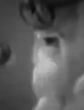 #السيدالصدر_ونجليه_الطاهرين 