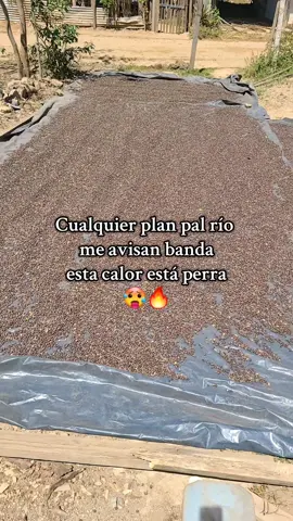 #504🇭🇳🔥🔥viral #Danli #cafe #viralditiktok #Danli #🥵🔥🌵😜 