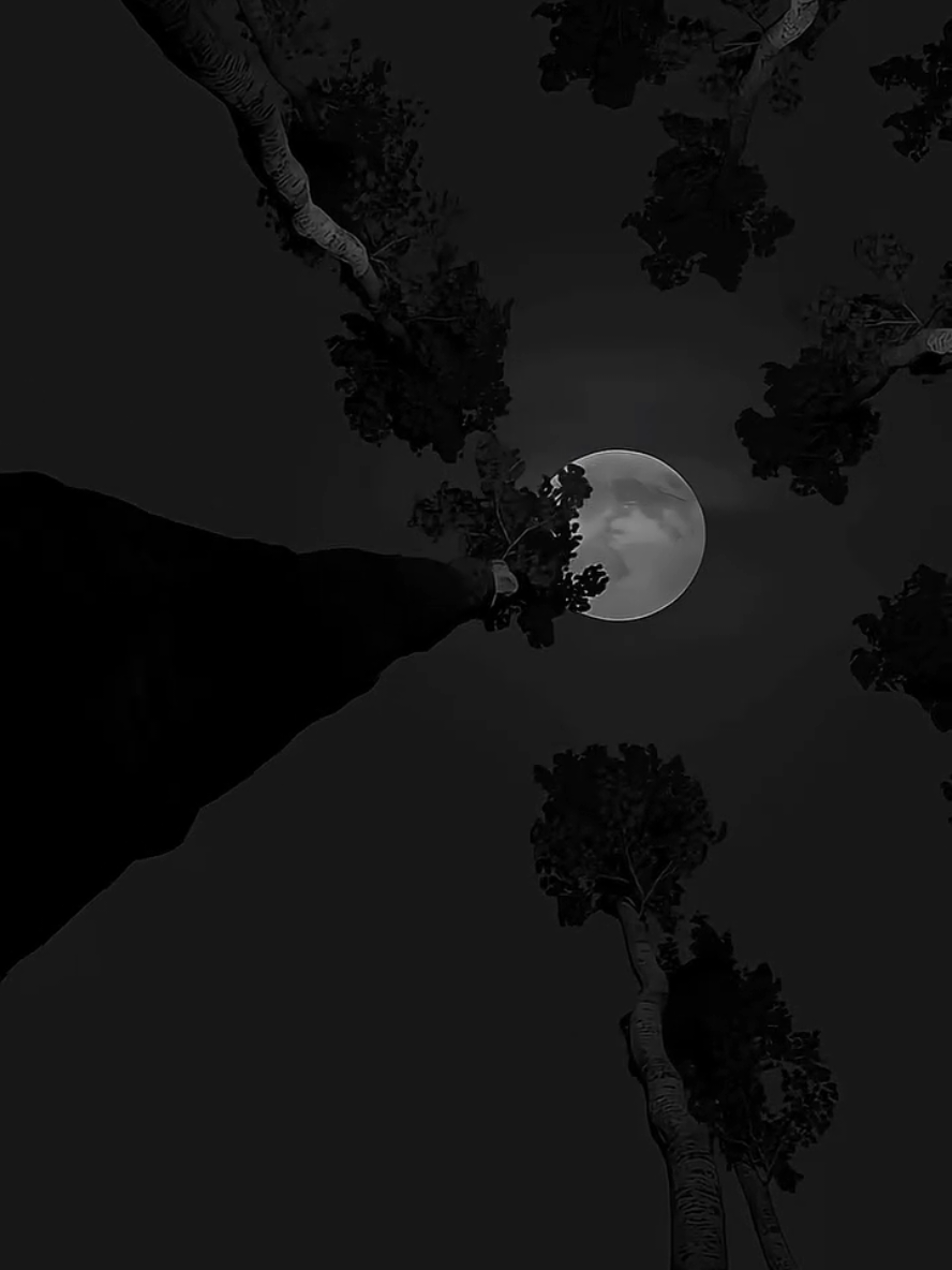 Moon 🌙