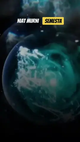 #Niat #Murni #leluhur #islam #sains #keselarasan #semesta 