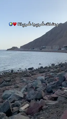 #fyppppppppppppppppppppppp #fouryou #اكسبلورexplore #fyb 
