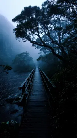 When you’re tired of people, silence becomes your most peaceful companion. Spotify playlist link in bio💙 #aesthetics #fyp #fypシ゚viral #fovlife #aestheticvideos #aestheticvibes #blueaesthetic 