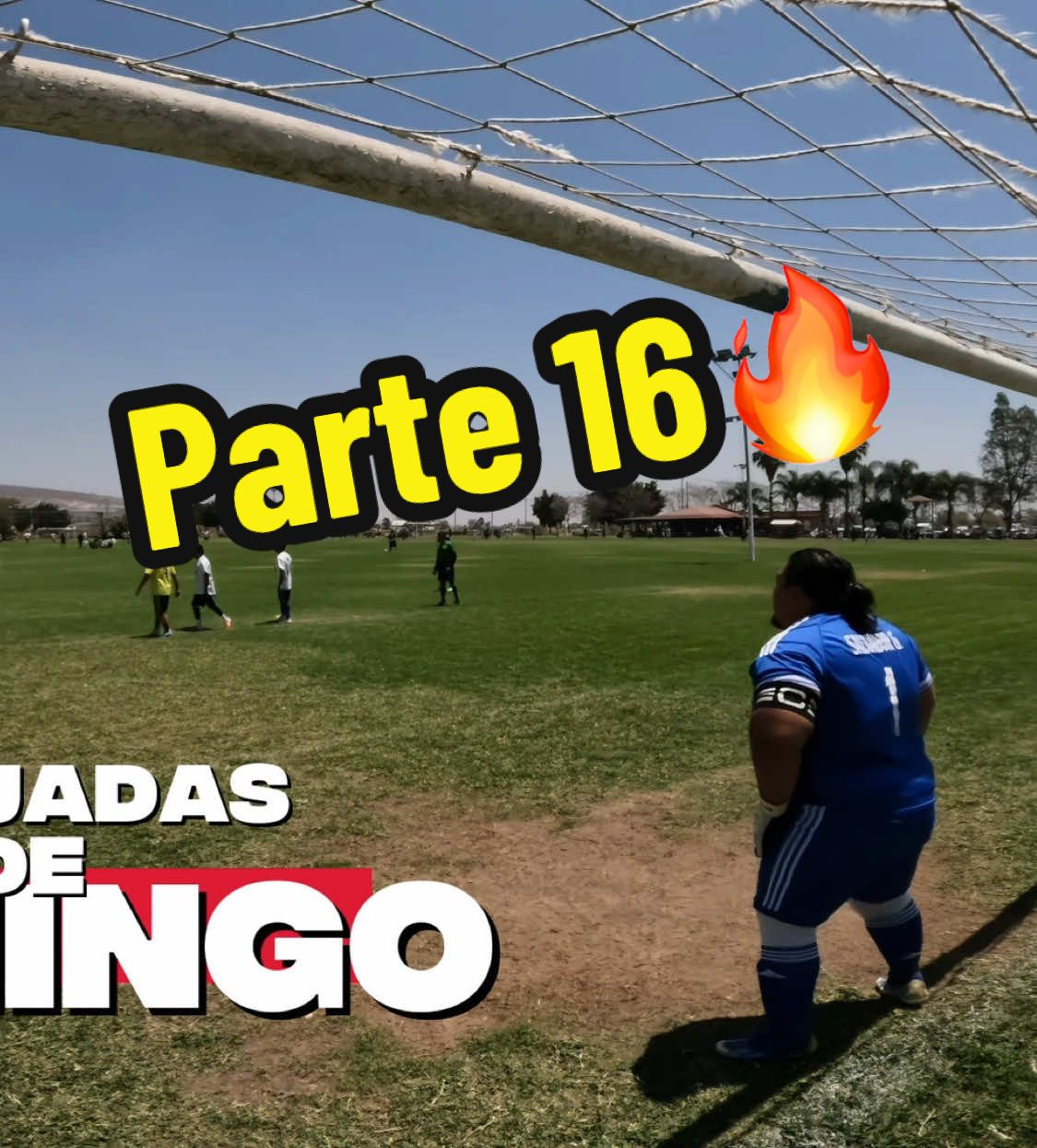 Atajadas de Domingo.🧤⚽️ (13/Abr) #vengaseñores #mgsports #chapulinesfc #Soccer #fútbol #soccertiktok #goalkeeper #portero #goalkeepertraining #goalkeepers #gk #guadalajara #tlaquepaque #tonala #zapopan #tlajomulco #jalisco  #foryou #foryoupage #viral #fyp #soccertiktok #porterotiktok #2K25 #liguilla #ligamx #playoff #campeon #gopro #clubamerica #malagon #bicampeones #tricampeones #fcbarcelona #realmadrid #jaguares #chiapas   #ventas #vamostiktokshop
