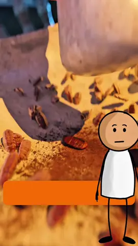 #facts #mindblown #interestingfacts 