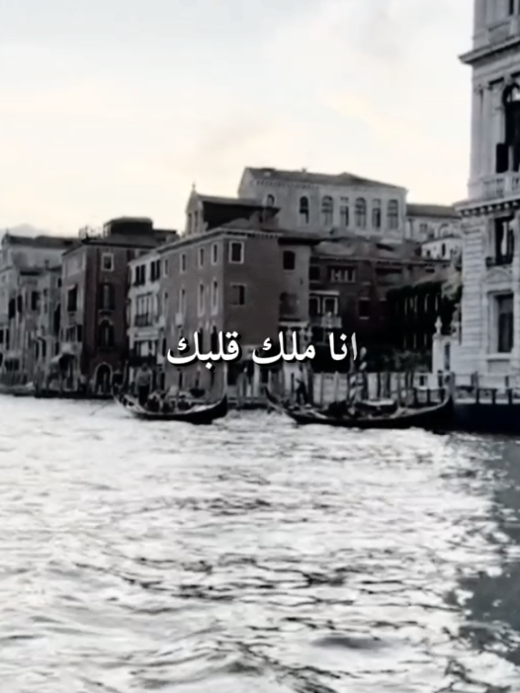 #بحبك_يا_غالي#هاني_شاكر   #اكسبلور#هاني_شاكر_ملك_الاحساس#oldies#hanishaker 