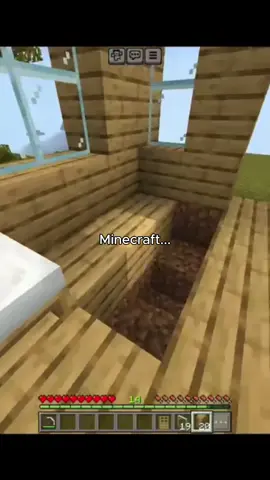 #Minecraft #fyp