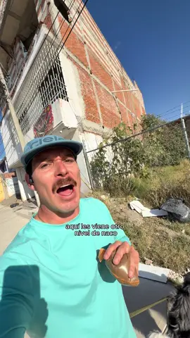 Cochinadas en la calle 