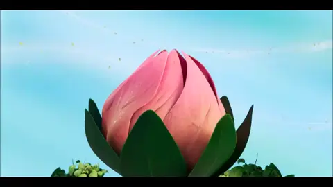 Winx Reboot transformation Flora i made Edit Winx Reboot transformation with classic Magic Winx Transformation Flora belongs to Rainbow music remake belongs to @flashoffate #winx #winxclub #stella #winxedit #flora #fairy #enchantix #enchantixfairy #winxflora #florafanart #fanart #winxedit #florafairyofnature #winxedits #winxclubreboot #WinxReboot