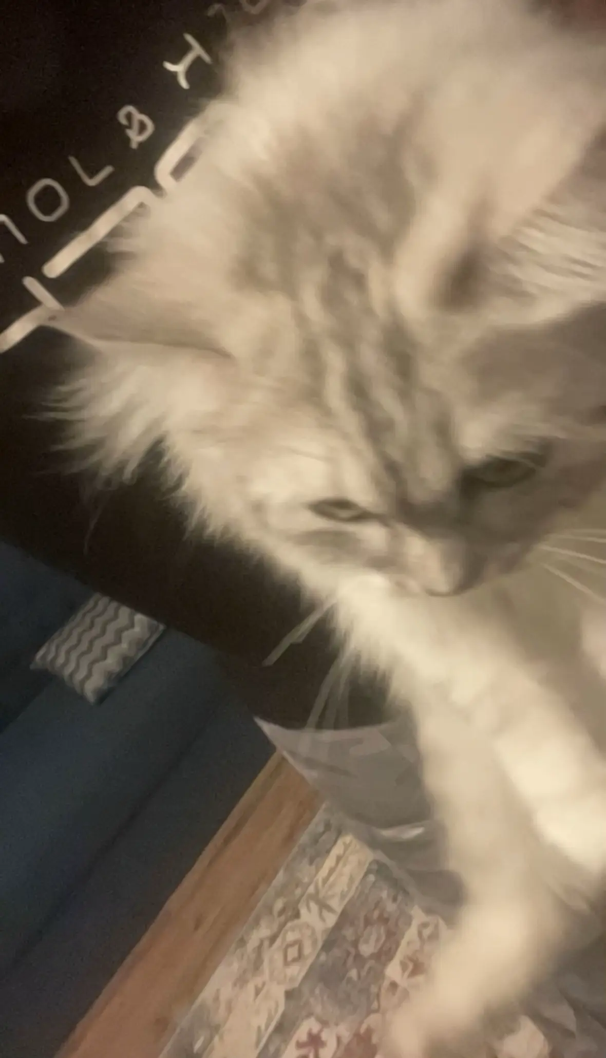 #kirkuk #كركوك #اكسبلور 