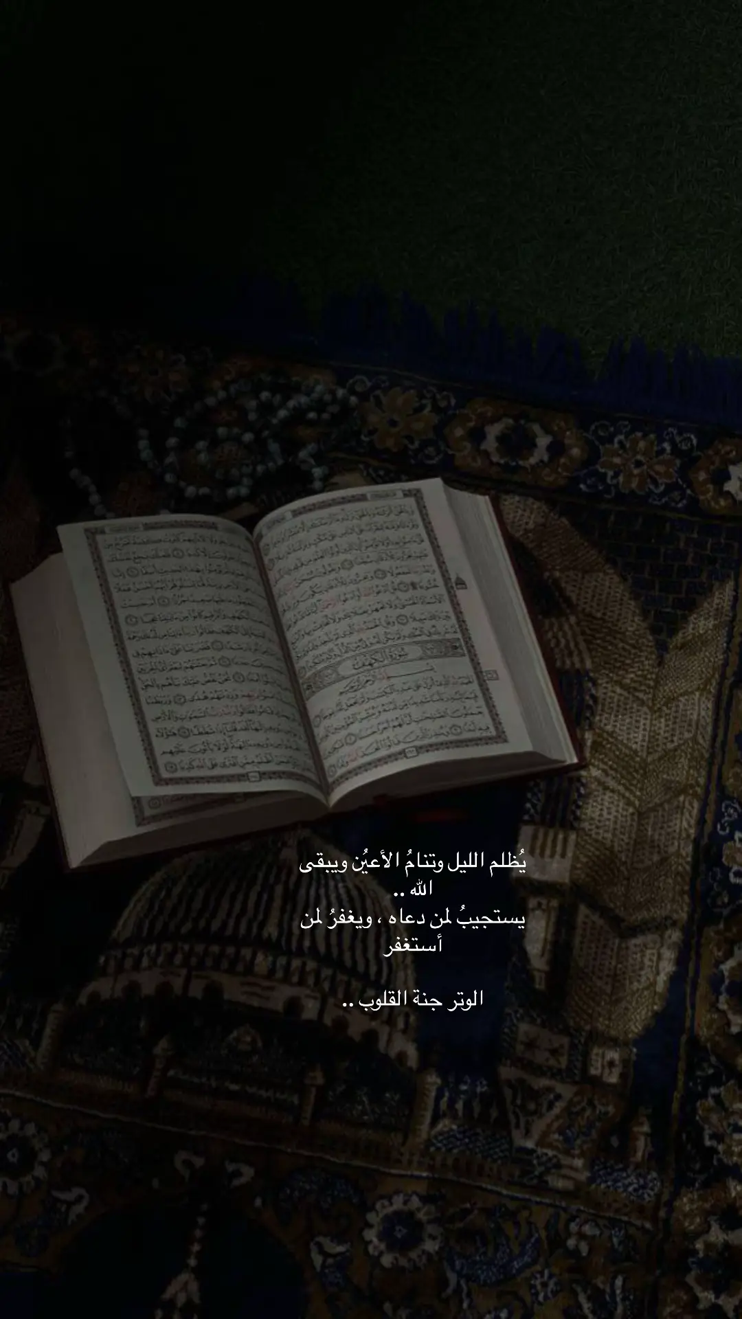 يُظلم الليل وتنامُ الأعيُن ويبقى الله .. ‏يستجيبُ لمن دعاه ، ويغفرُ لمن أستغفر  ‏الوتر جنة القلوب ..