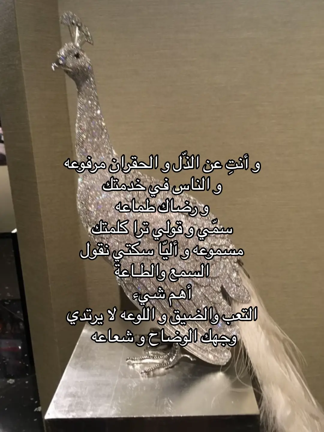 اللي لها لين اموت السمع والطـاعة #الهاشتاقات_للشيوخ #الهاشتاقات_للشيوخ #fypシ゚viral #fypシ゚viral #fypシ゚viral #أغنية #أغنية #أغنية #أغنية #fypシ゚viral #ضيدان_بن_قضعان #نرجسية #ديفا #ديفا #غرور #music #fypシ #fypシ #viral #4u #ديفا #likee #خالد_الفيصل 