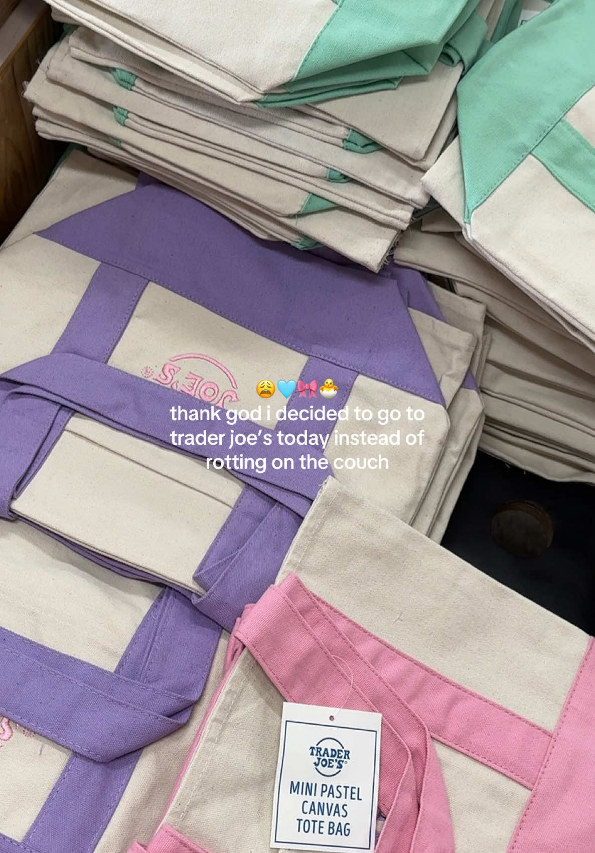 the trader joe’s mini canvas bags are back and IN PASTEL🩵💜🩷  #traderjoesfinds #minicanvasbag #canvasbag #totebag #traderjoestotebag #traderjoesmusthaves #traderjoesfavorites 