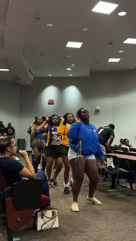 they ate😝 #utaustin #fyp #fypシ #1922💙💛 #1922 #poodles #sgrho #sigmagammarho #sigmagammarhosororityinc #prettypoodlesoftiktok💙💛 #texasstateuniversity #prettypoodle  #sigmagammarho💙🐩💛 