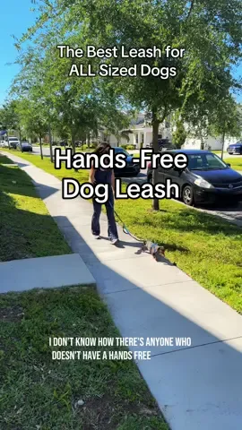 #fyp #handsfreeleash  #trending #viral #dog #dogsoftiktok #dogleash @iYoShop US 